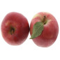 POMME ROYAL GALA 6X2KG